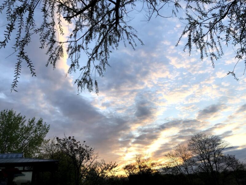 Mother’s Day Angel Blessings Amidst Coronavirus Crisis