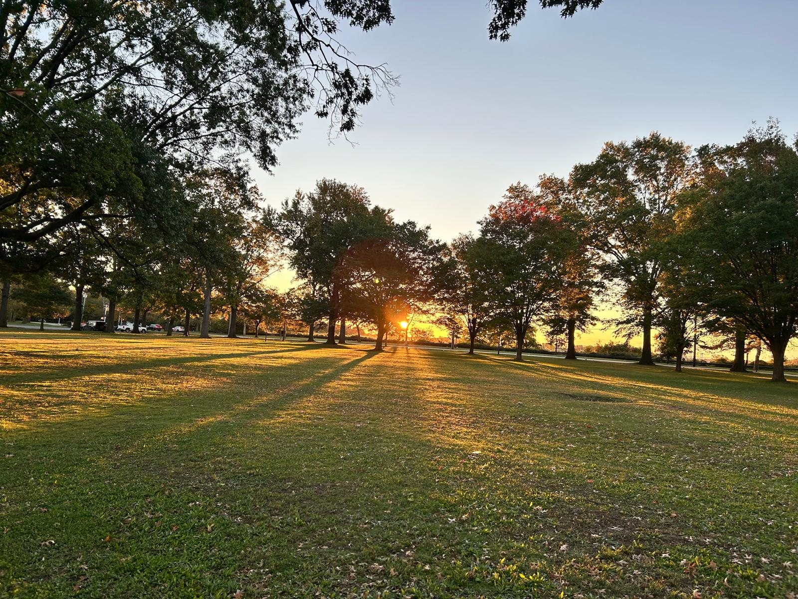 Sunrise behind autumn trees on a morning walk