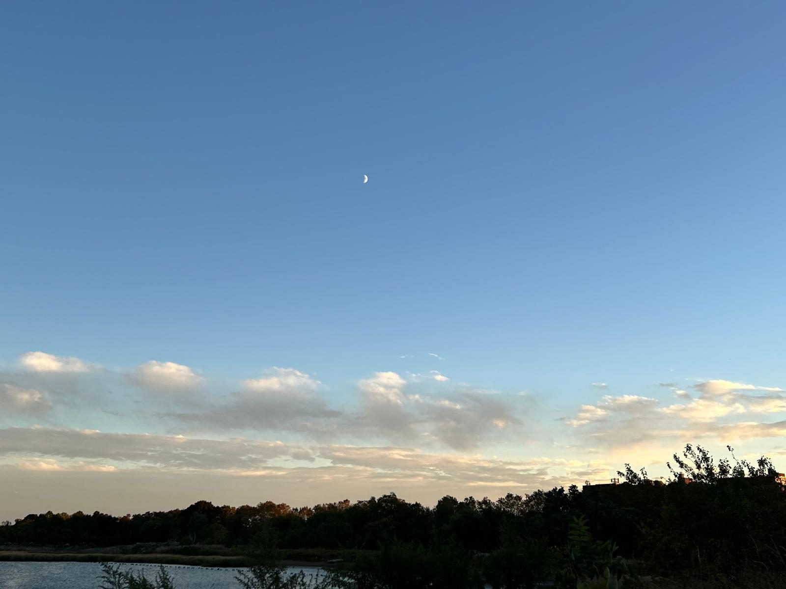Pale moon rising in a clear blue sky over Marine Park, Brooklyn