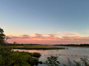 Pink sunset sky reflected in the salt marsh at Marine Park, Brooklyn