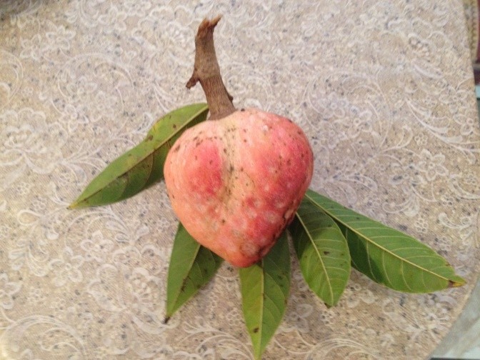 Heart shaped fruit resting on green leaves