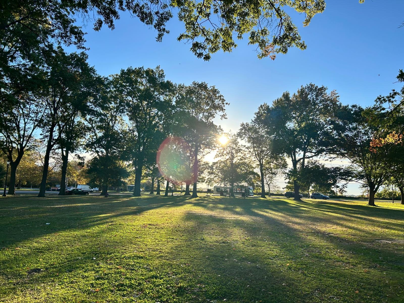 Sunburst through the trees at Marine Park