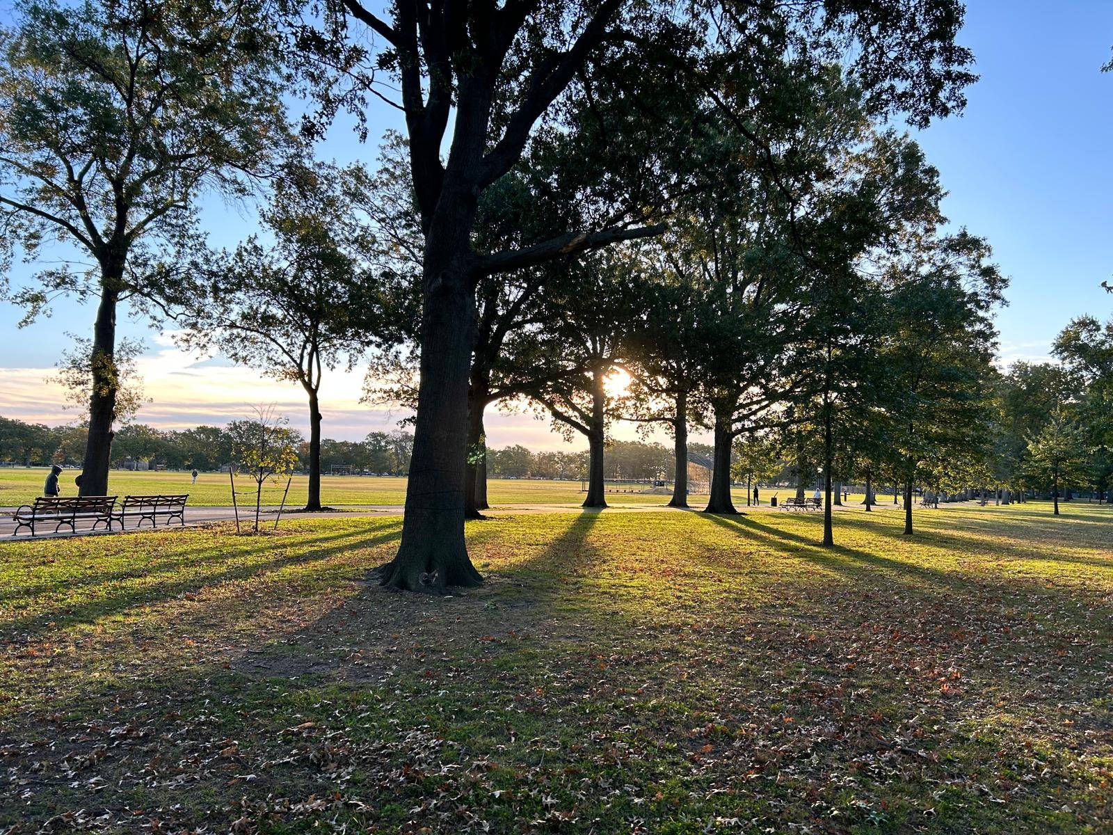 Long tree shadows across the grass at Marine Park on Vijayadashami morning