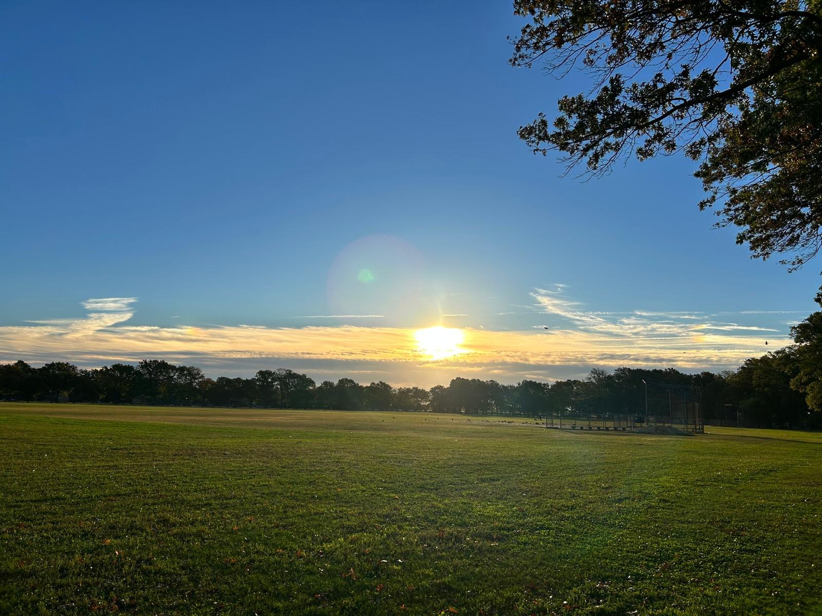 Sun shining over the open field at Marine Park